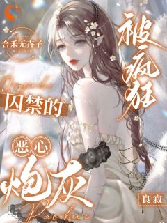 《炮灰快穿：全世界里姐最美》秦邵琴幼枫白俟大结局免费试读