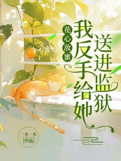 安安张巧巧小说 《花心敌蜜，我反手给她送进监狱》小说全文精彩试读