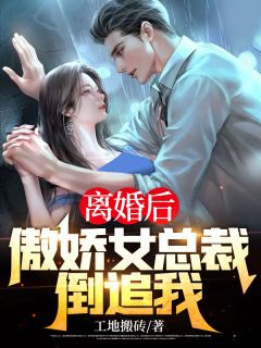 离婚后，傲娇女总裁倒追我林天唐宣仪小说结局精彩章节全文