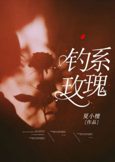 《 钓系玫瑰》何皎皎曲东黎小说精彩章节免费试读