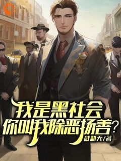 《我是黑社会，你叫我除恶扬善？》方正李芷筠章节在线试读