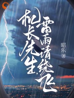 《机长先生，雷雨请绕飞》小说全文免费阅读 《机长先生，雷雨请绕飞》最新章节列表