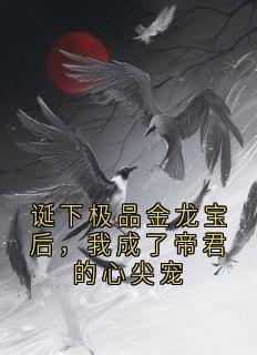 《诞下极品金龙宝后，我成了帝君的心尖宠》小说全文免费阅读 林晚晚萧龙辰小说全文