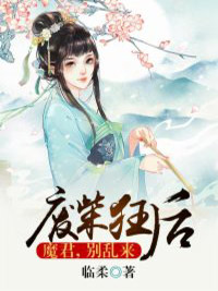 《废柴狂后：魔君，别乱来》小说完结版在线阅读 月无痕赫连皓小说阅读