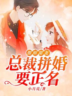 傲娇甜妻：总裁拼婚要正名by苏沫郁司辰完整版 苏沫郁司辰小说全集在线阅读